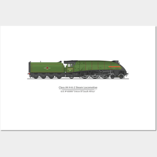 Union of South Africa British Preserved A4 Locomotive 60009 Posters and Art